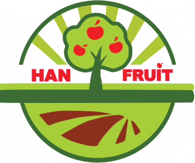 trai-cay-nhap-khau-tphcm-hanfruit